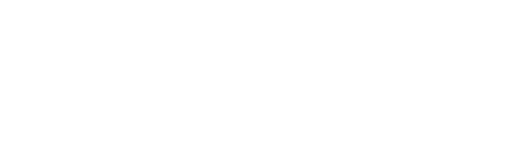 ireka logo head white